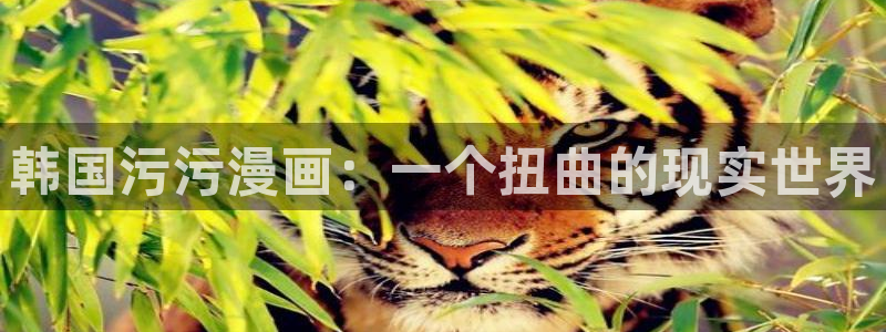 香蕉文化漫画书的下拉式