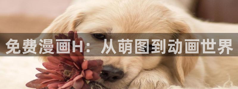 香蕉漫画免费看：免费漫画H：从萌图到动画世界