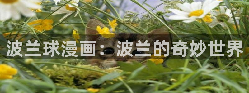 香蕉文化——漫画小说更新