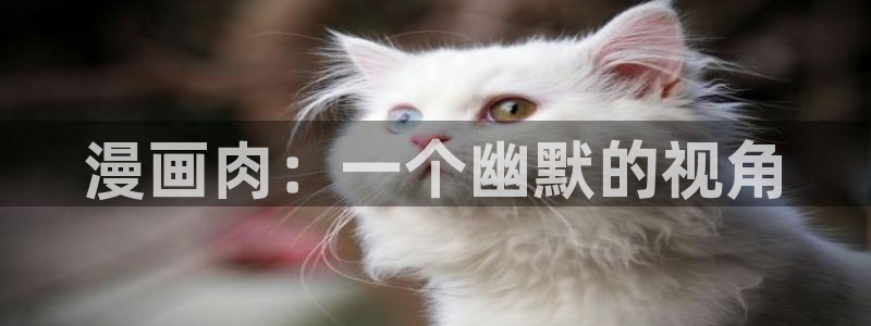 香蕉文化下拉式漫画书