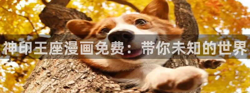 香蕉漫画免费登录