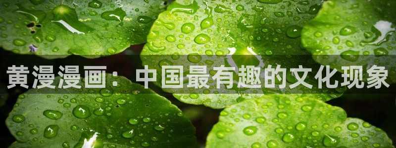 香蕉漫画入口免费：黄漫漫画：中国最有趣的文化现象